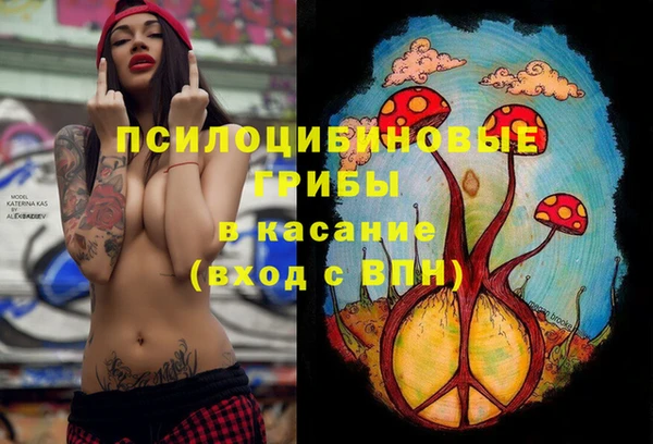 прущий лед Алексин