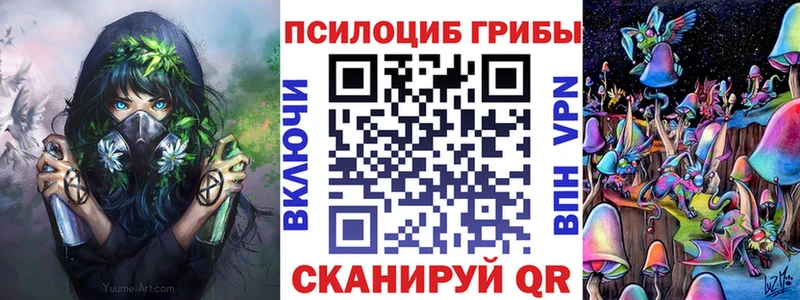 Купить где  Владимир  Галлюциногенные грибы мухоморы 